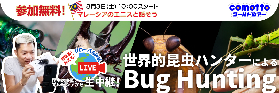 【自由研究ワークシート付】『comottoワールドツアー』夏休み特別企画！「話せる！会える！グローバル体験世界的昆虫ハンターによるBug Hunting」